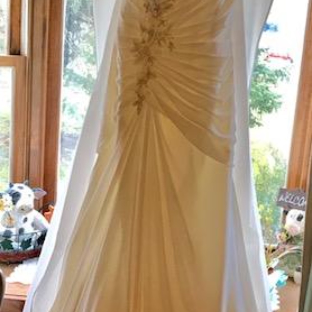 Wedding Dress - Picture 4 of 5